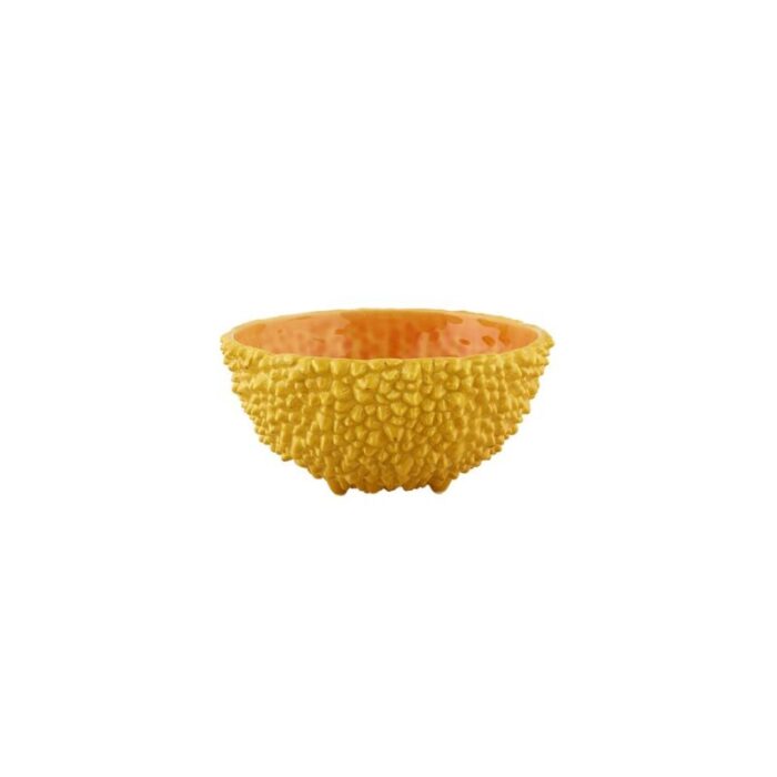 amazonia bowl 165 240924031408