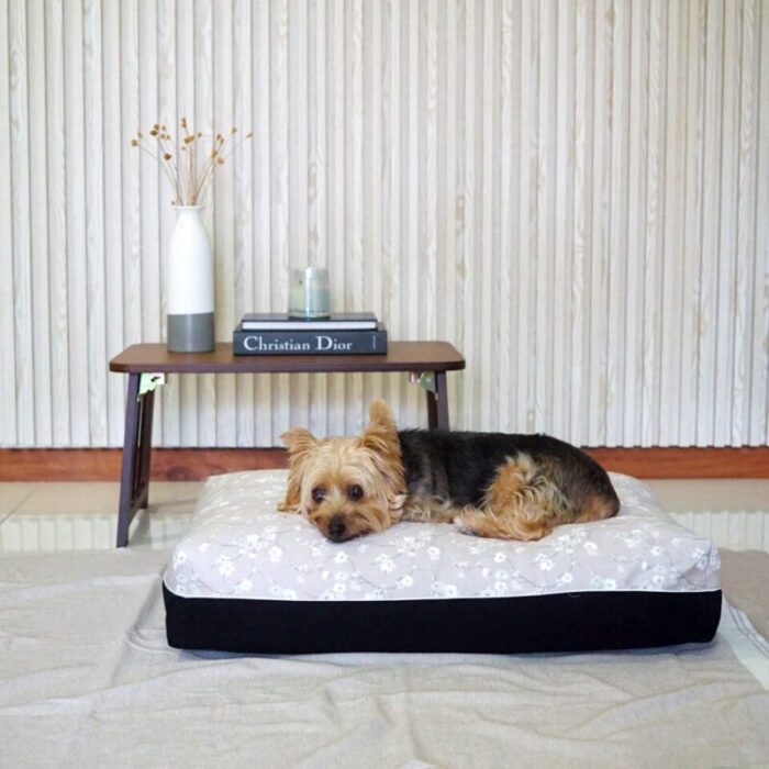 bloom cooling dog bed medium sized in grey and black 230518025230 1