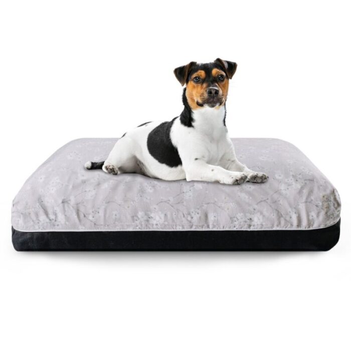 bloom cooling dog bed medium sized in grey and black 230518025230