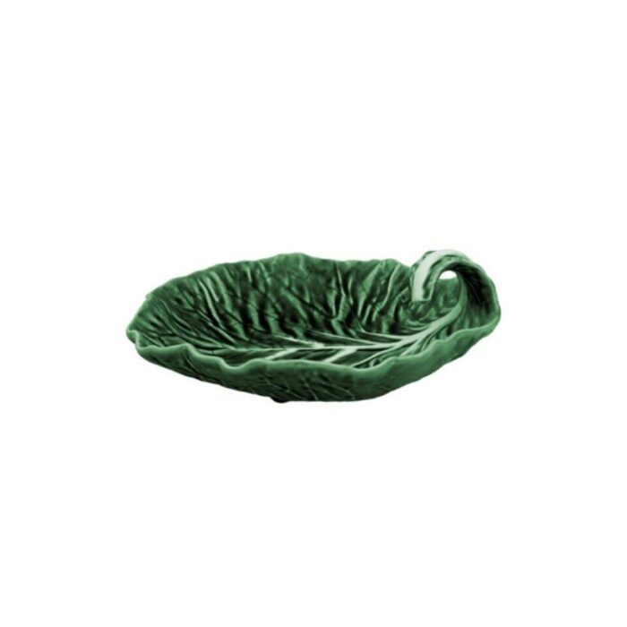 cabbage leaf 25cm curvuture 240924031312