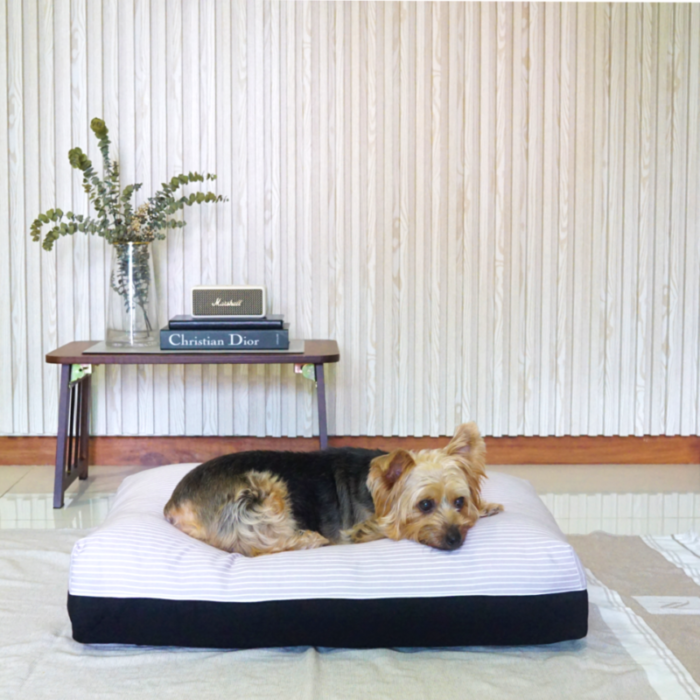 dreamcastle cookie cooling medium sized dog bed grey and black 240228050027