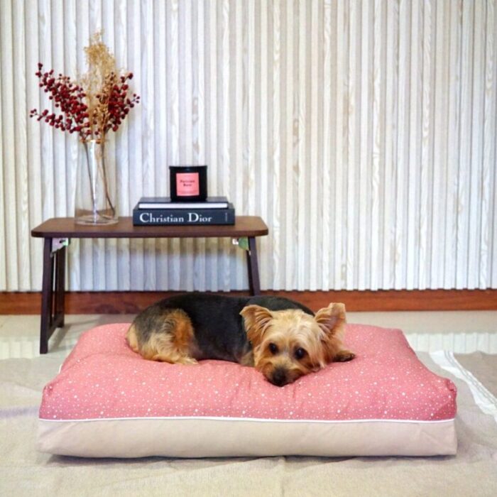 little star cooling dog bed medium sized in pink and beige 221006042719 1