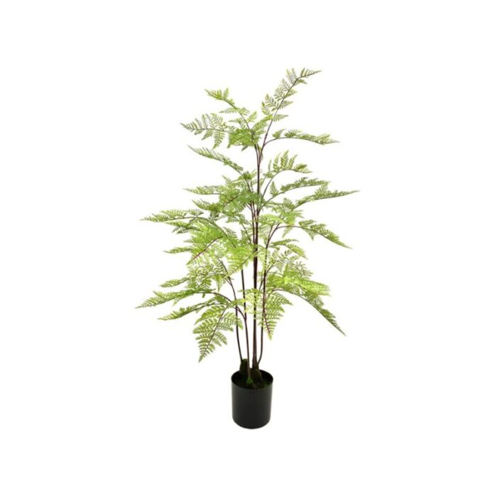 pteridium fern 90cm 230927023806