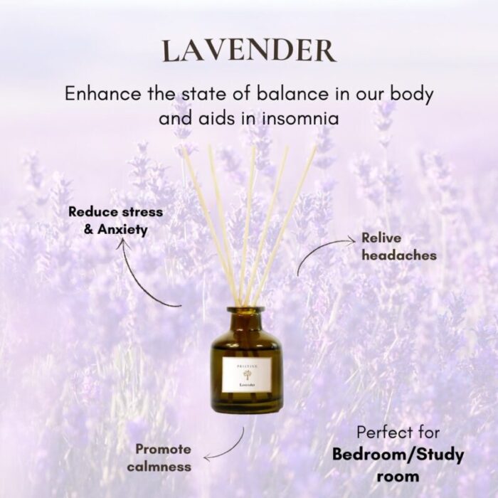 reed diffuser lavender 50ml 230717025523 1